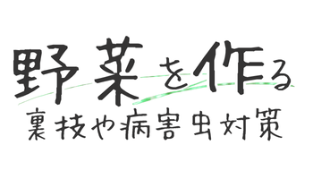 野菜を作る