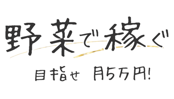 野菜で稼ぐ