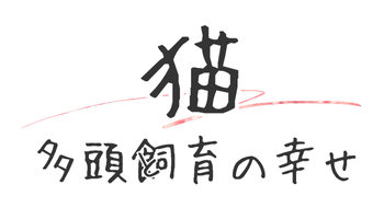 猫の多頭飼育